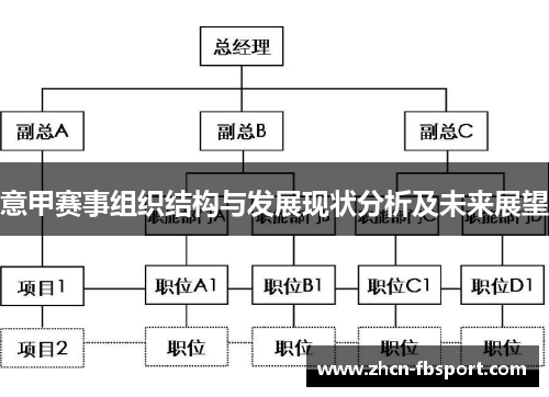 意甲赛事组织结构与发展现状分析及未来展望