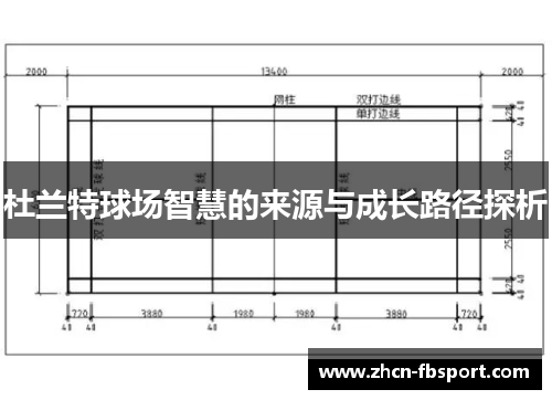 杜兰特球场智慧的来源与成长路径探析