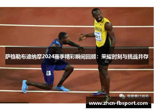 萨格勒布迪纳摩2024赛季精彩瞬间回顾：荣耀时刻与挑战并存
